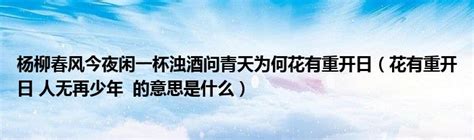 楊柳春風今日閒， 一杯濁酒問青天。 為何花有重開時， 人卻從無再少年！|杨柳春风今夜闲一杯浊酒问青天为何花有重开日人却从无再少年这。